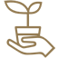 Forestación